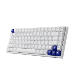 TECLADO MECANICO AKKO MODELO 3084B-PLUS V2 SWITCH JELLY PURPLE