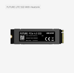 SSD M2 PCle 4.0 FUTURE LITE COM DISSIPADOR HIKSEMI 1024GB