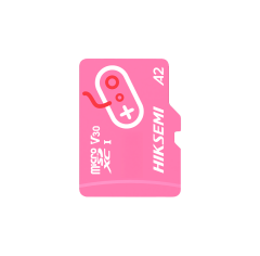 CARTAO DE MEMORIA MICRO SD HIKSEMI CITY FUN 256GB