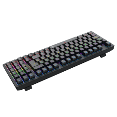 TECLADO MECANICO GAMER HOLYSWORD  PRETO RAINBOW DUST-PROOF BROWN T-TGK331-BR