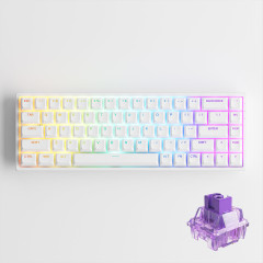 TECLADO MEC ASA PBT DOUBLE-SHOT SHINE-THROUGH SWITCH JELLY PURPLE TACTILE 65% MODELO 3068S