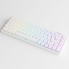 TECLADO MEC ASA PBT DOUBLE-SHOT SHINE-THROUGH SWITCH JELLY PURPLE TACTILE 65% MODELO 3068S