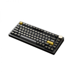 TECLADO GAMER SWITCH AKKO CRYSTAL LINEAR KEYCAPS ASA PBT DOUBLE SHOT 75% LAYOUT MODELO PC75B V2  BLACK & GOLD