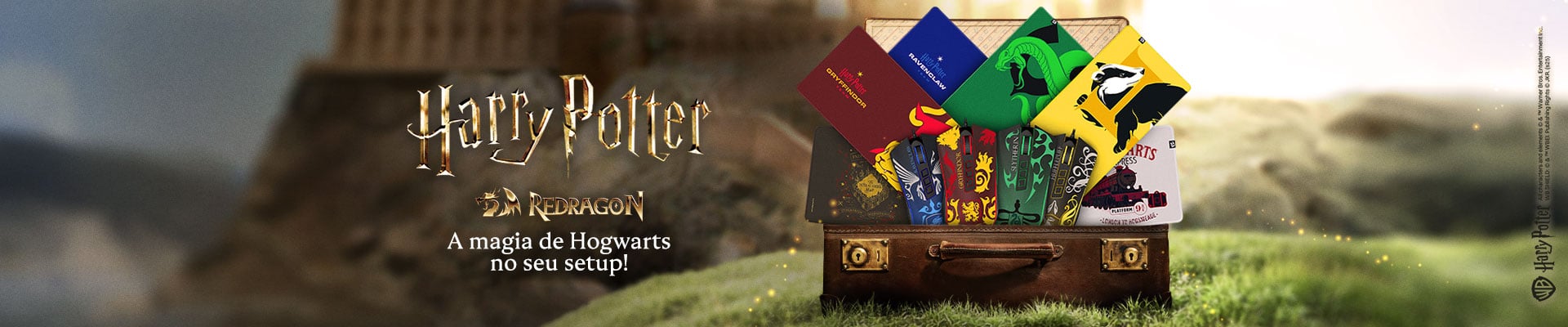 Harry Potter - Edição Limitada